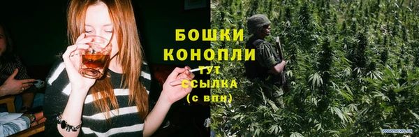 дурь Алексеевка