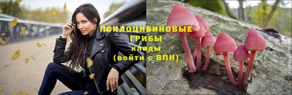 таблы Алзамай