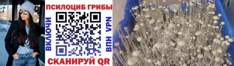 Псилоцибиновые грибы ЛСД  Санкт-Петербург 