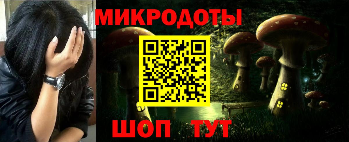 Галлюциногенные грибы Cubensis Санкт-Петербург